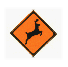 Danger Animals Crossing